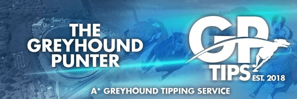 Best Greyhound Tipster