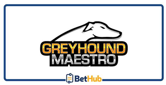 Greyhound Maestro Best Tipster